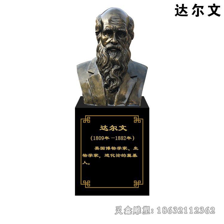 生物学家达尔文胸像铜雕